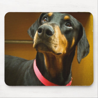 Tapis De Souris Dobermann Mousepad