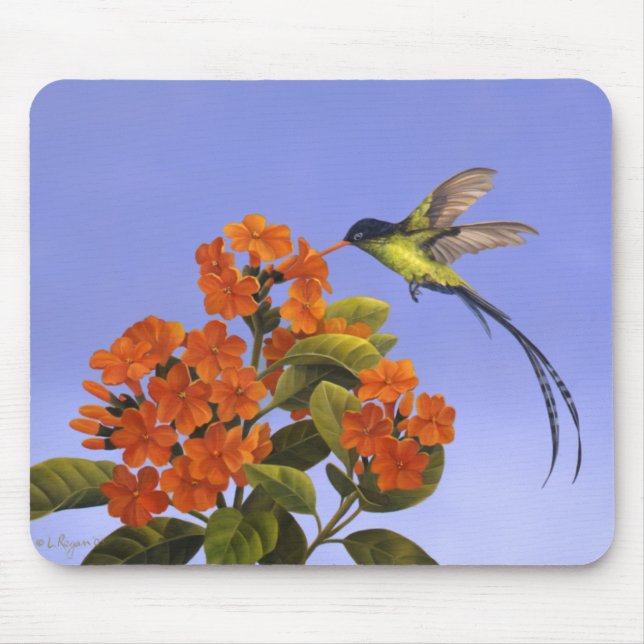Tapis De Souris Doctorbird - oiseau national de la Jamaïque (Devant)