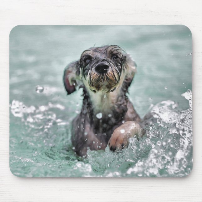 Tapis De Souris Doggy Paddle mignon chien nager (Devant)