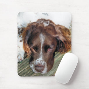 TAPIS DE SOURIS DOGS