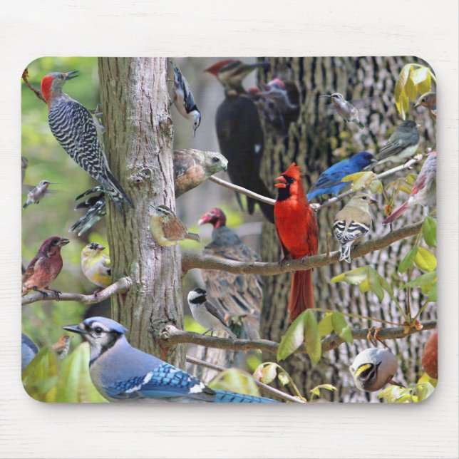 Tapis de souris d'oiseau de jardin (Devant)