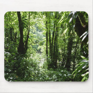 Tapis De Souris Dominicain Forêt de pluie II Vert tropical