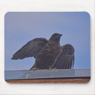 Tapis De Souris Don photo Wild Raven et Roof Wildlife