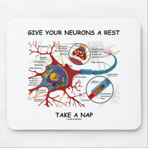Tapis De Souris Donnez À Vos Neurones Un Repos Prenez Nap Neuron S