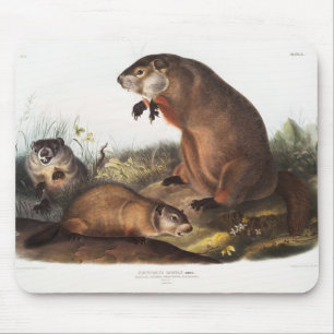 Tapis De Souris Dons Boodchuck Camping Deco