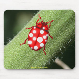 Tapis De Souris Dons LadyBug pour les buglovers et les jardiniers