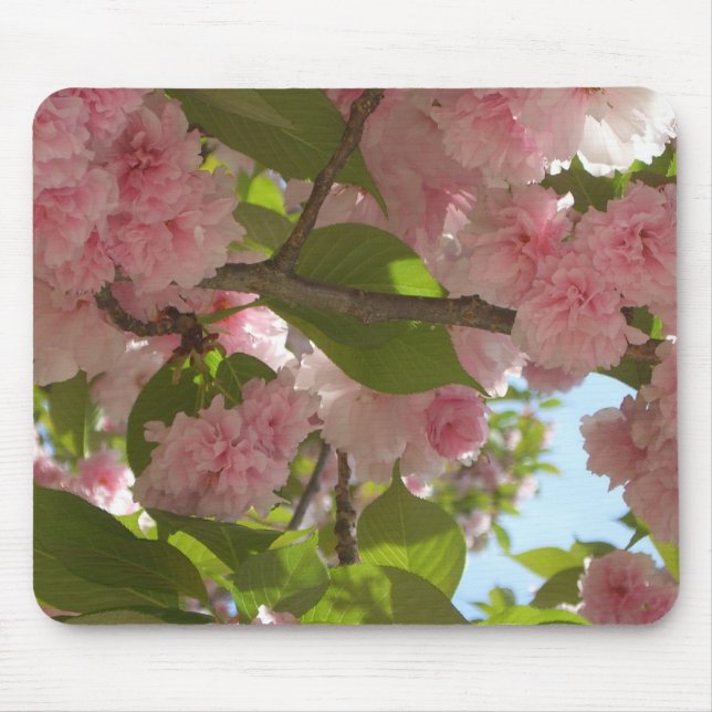 Tapis De Souris Double floraison cerisier III printemps fleuri (Devant)