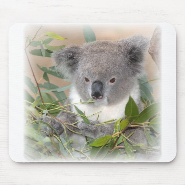 Tapis de souris d'ours de koala (Devant)