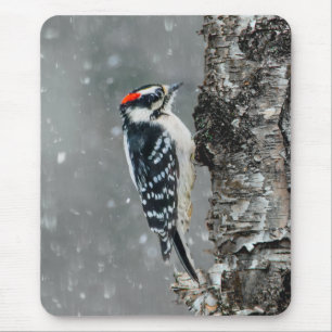 Tapis De Souris Downy Woodpecker in Snow - Original Photograph