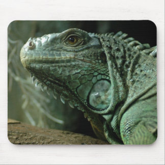 Tapis De Souris Dragg-sur Mousepad