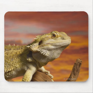 Tapis De Souris Dragon à épaulettes (Pogona Vitticeps) sur branche