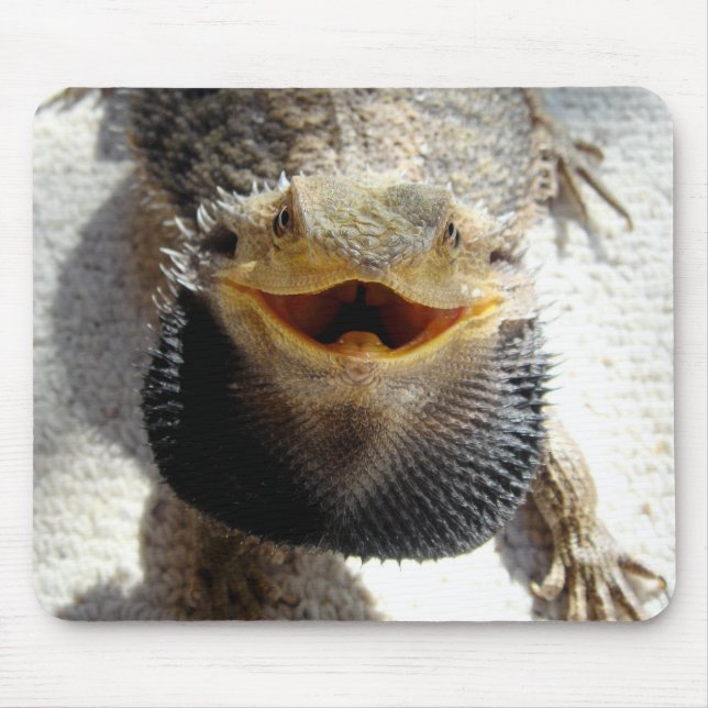 Tapis De Souris Dragon barbu oriental - barbata de Pogona (Devant)
