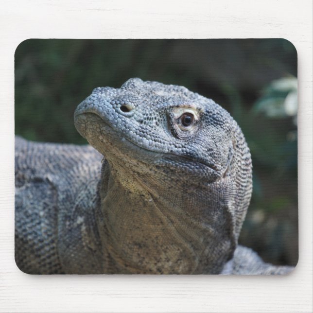 Tapis De Souris Dragon de Komodo (Devant)