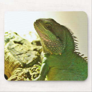 Tapis De Souris Dragon d'eau chinois