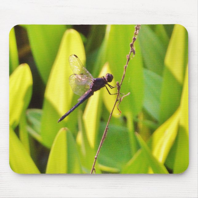 Tapis De Souris Dragonfly Blue et noir sur l'herbe. (Devant)