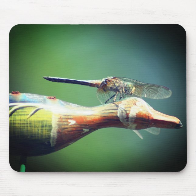 Tapis De Souris Dragonfly Co Pilot Nature (Devant)