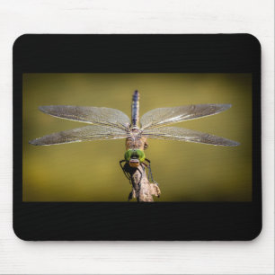 Tapis De Souris Dragonfly cool