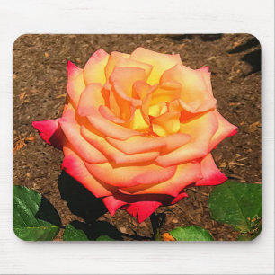 Tapis De Souris Dream Come True Rose #3 Pad souris