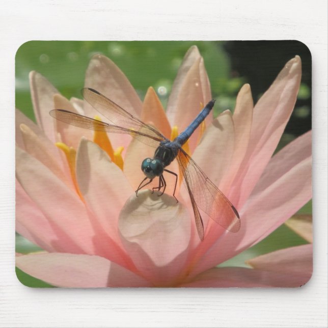 Tapis De Souris Drgonfly sur le nénuphar (Devant)