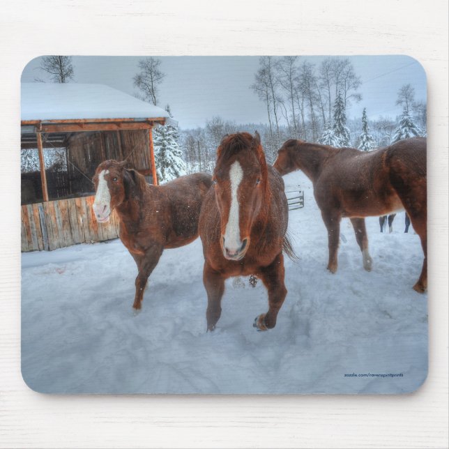 Tapis De Souris Drôle Amorous Stallion et Chevaux de jument (Devant)
