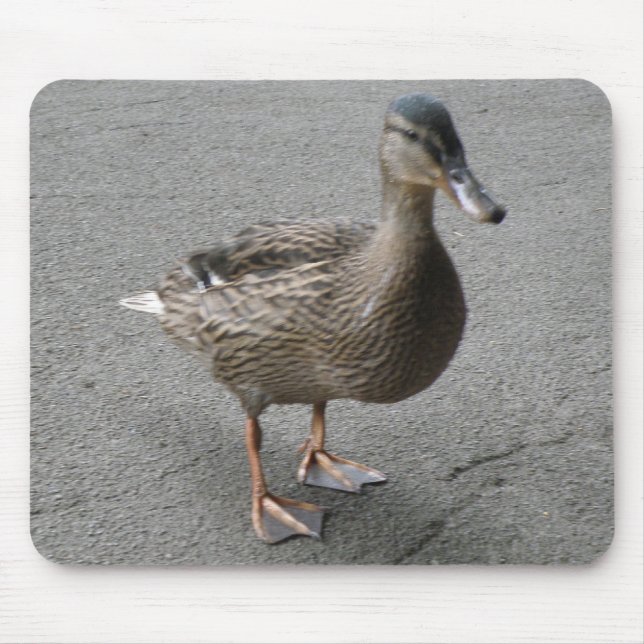 Tapis De Souris Drôle canard à cheval Mousepad (Devant)