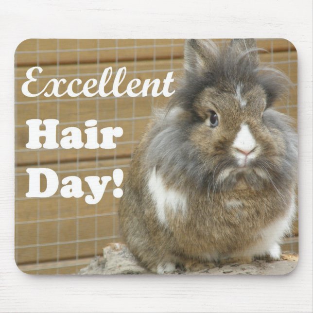 Tapis De Souris Drôle "Excellente journée des cheveux" pour lapin (Devant)