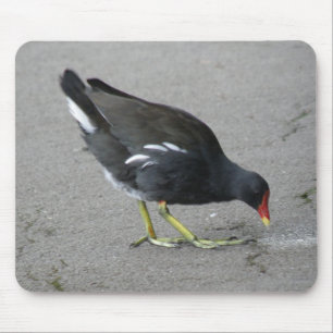 Tapis De Souris Drôle Moorhen prendre un bow Mousepad