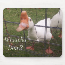 Drôle Photos Animales Pad Souris