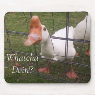 Tapis De Souris Drôle Photos Animales Pad Souris