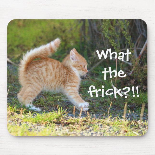 Tapis De Souris Drôle Surpris Ginger Kitten. Quelle merde ? (Devant)