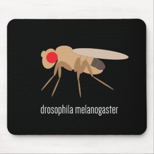 Tapis De Souris Drosophile Mousepad