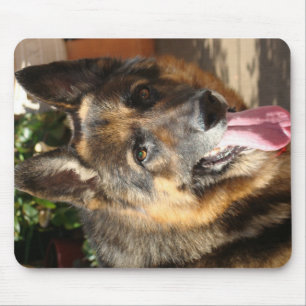 TAPIS DE SOURIS DSC02554