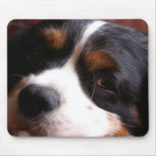 Tapis de souris du Roi Charles Cavalier Spaniel