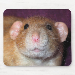 Tapis de souris Dumbo Rat
