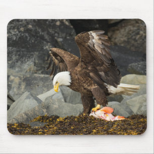 Tapis De Souris Eagle chauve final