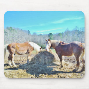 Tapis De Souris Ébauche secourue Chevaux mangeant foin