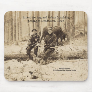 Tapis De Souris Écailleurs chez Deadwater, Maine - 1916