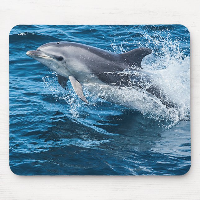 Tapis De Souris Éclaboussement de dauphin (Devant)