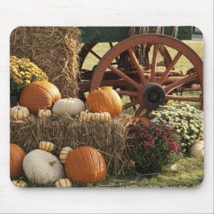 Tapis De Souris Écran Citrouille Automne Et Mère