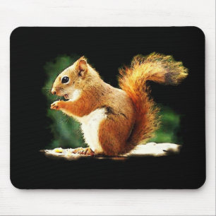 Tapis De Souris Écureuil