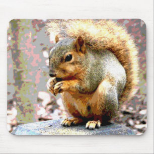 Tapis De Souris Écureuil