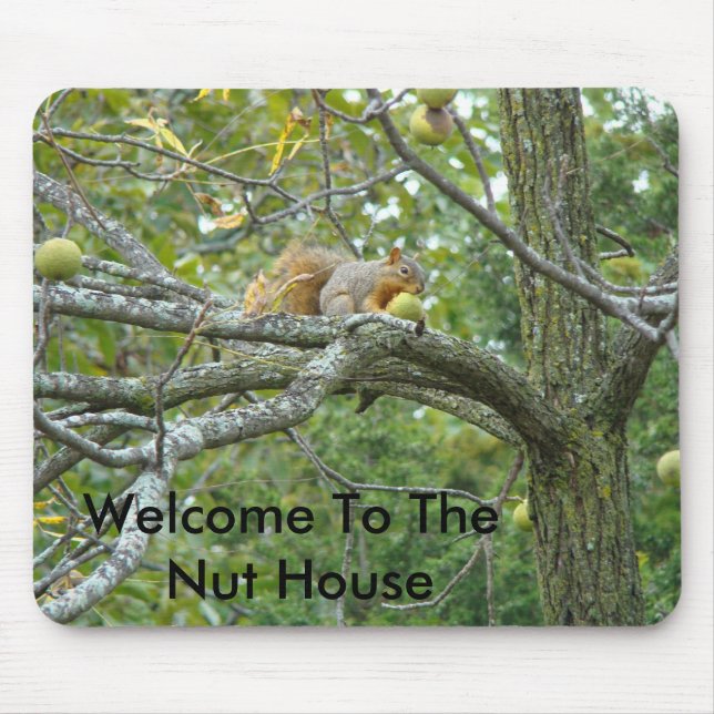 Tapis De Souris Écureuil avec une noix, accueil à l'asile de fous (Devant)