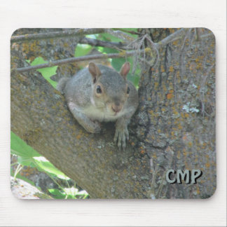 Tapis De Souris Écureuil curieux dans l'arbre avec vos initiales
