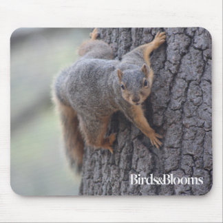 Tapis De Souris Écureuil de accrochage