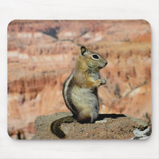 Tapis De Souris Écureuil de sol doré (Devant)