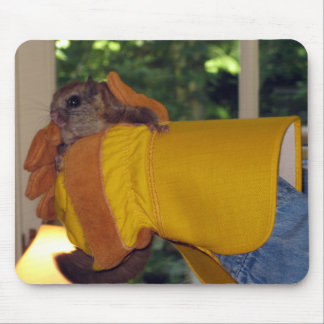 Tapis De Souris Écureuil de vol