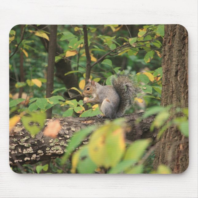 Tapis De Souris Écureuil en automne Mousepad (Devant)