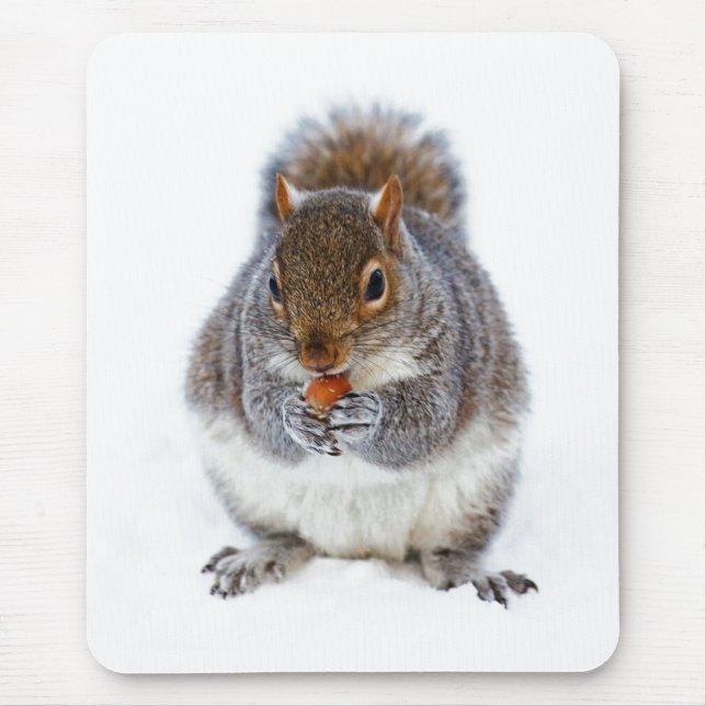 Tapis De Souris Écureuil mangeant une noix Photo mignonne d'hiver (Devant)