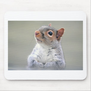 Tapis De Souris Écureuil mignon