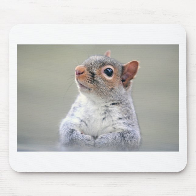 Tapis De Souris Écureuil mignon (Devant)